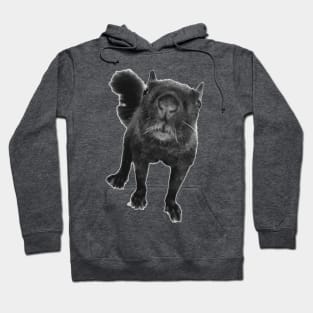 Black Squirrel Hoodie